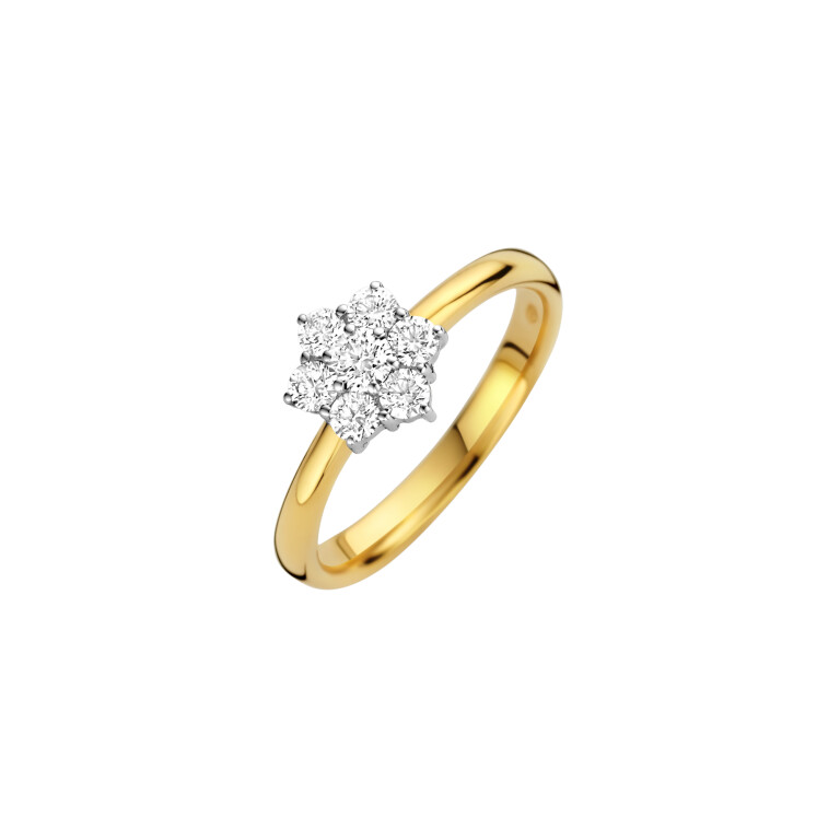 Diamonds Ring - Schaap en Citroen Diamonds Ring - Schaap en Citroen