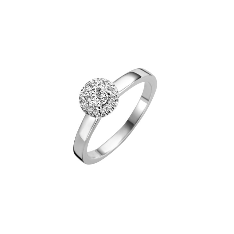 Diamonds Ring - Schaap en Citroen Diamonds Ring - Schaap en Citroen