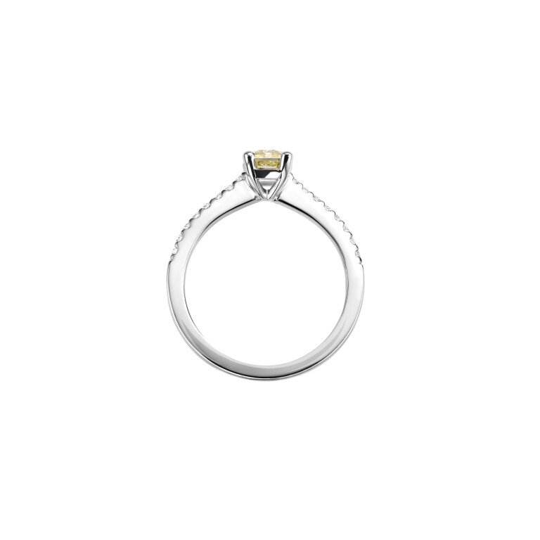 witgoud solitair ring met diamant Schaap en Citroen Diamonds - #3 witgoud solitair ring met diamant Schaap en Citroen Diamonds - #3