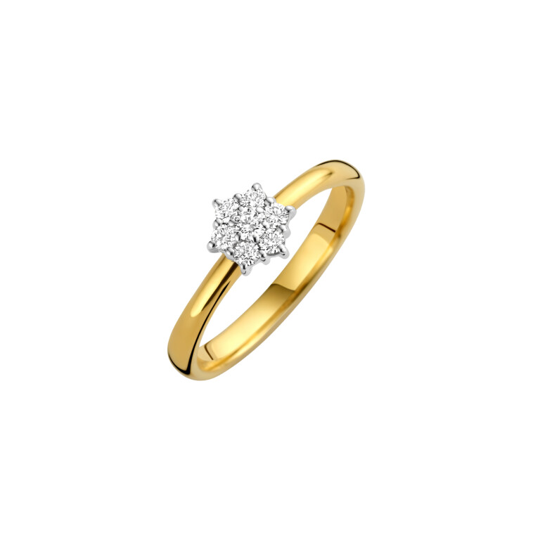 Diamonds Ring - Schaap en Citroen Diamonds Ring - Schaap en Citroen
