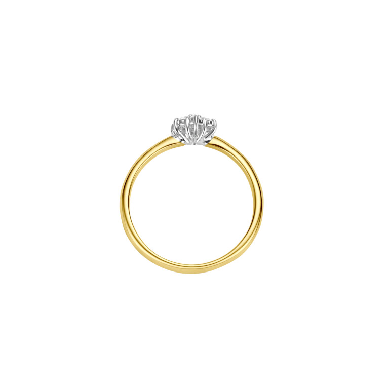 geel/wit goud entourage ring met diamant Schaap en Citroen Diamonds - #3 geel/wit goud entourage ring met diamant Schaap en Citroen Diamonds - #3