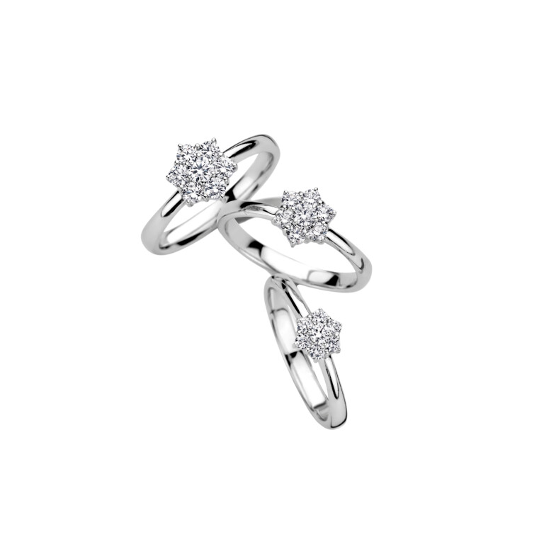 witgoud entourage ring met diamant Schaap en Citroen Diamonds - #2 witgoud entourage ring met diamant Schaap en Citroen Diamonds - #2