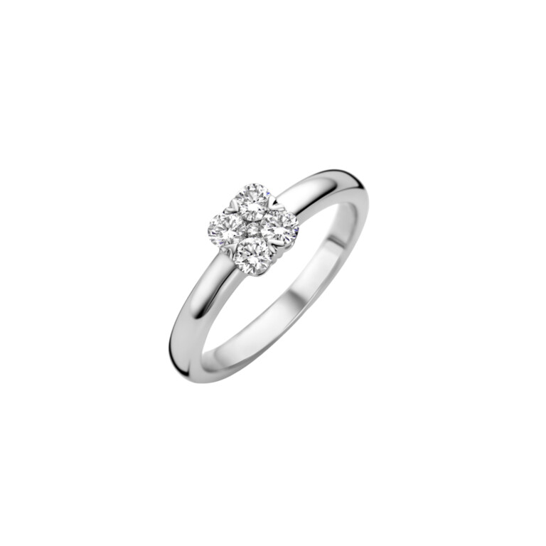 Diamonds Ring - Schaap en Citroen Diamonds Ring - Schaap en Citroen