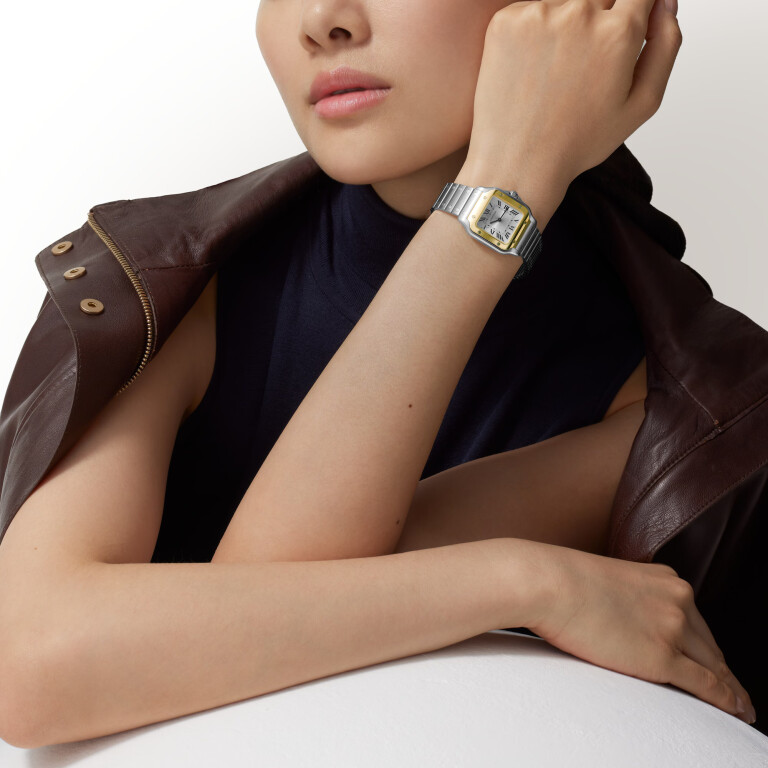 Cartier Santos de Cartier SM - W2SA0033 - #9 Cartier Santos de Cartier SM - W2SA0033 - #9