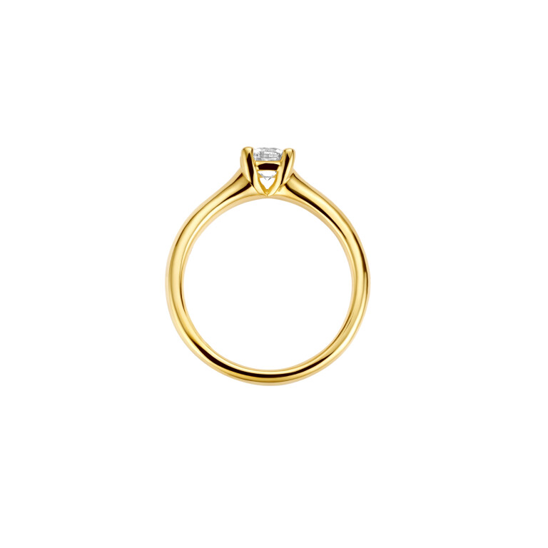 geelgoud solitair ring met diamant Schaap en Citroen Diamonds - #3 geelgoud solitair ring met diamant Schaap en Citroen Diamonds - #3