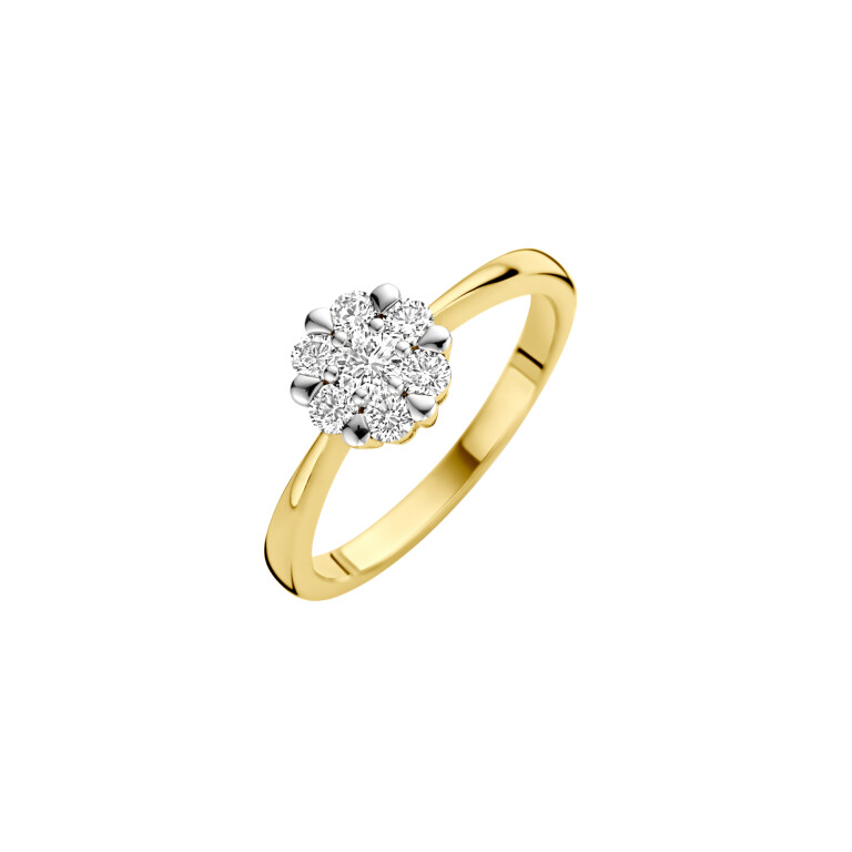 Diamonds Ring - Schaap en Citroen Diamonds Ring - Schaap en Citroen