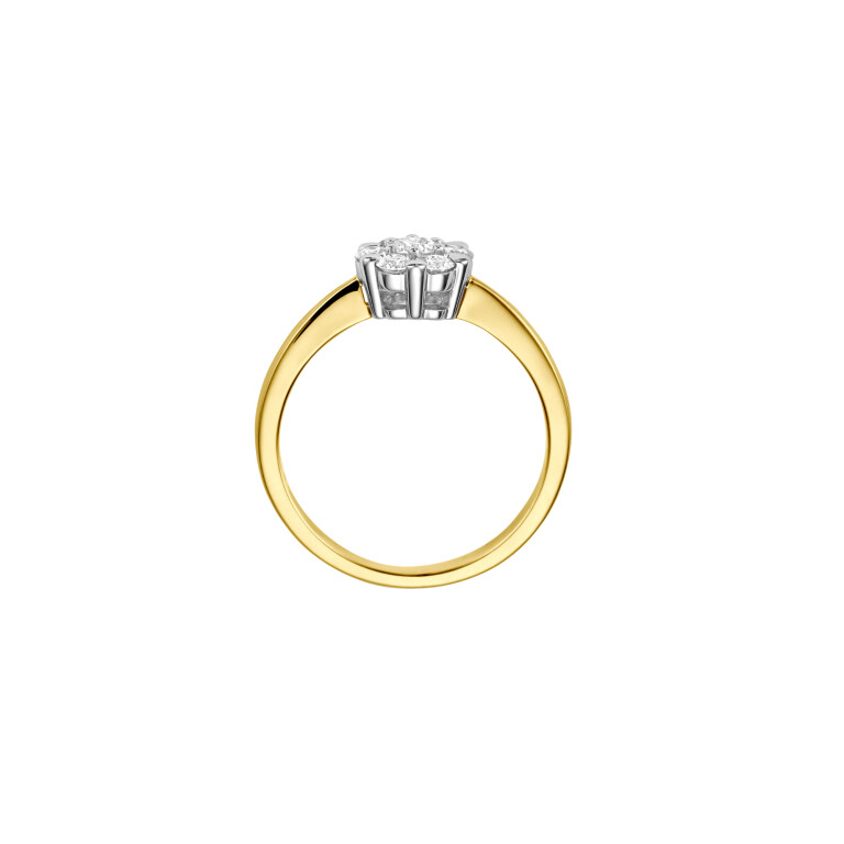 geel/wit goud entourage ring met diamant Schaap en Citroen Diamonds - #3 geel/wit goud entourage ring met diamant Schaap en Citroen Diamonds - #3