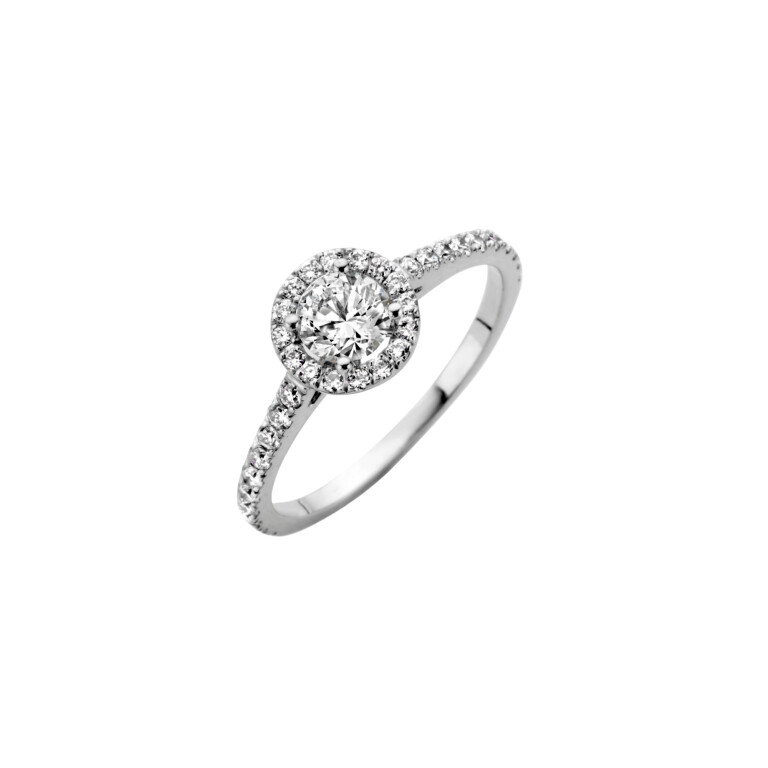 Diamonds Ring - Schaap en Citroen Diamonds Ring - Schaap en Citroen