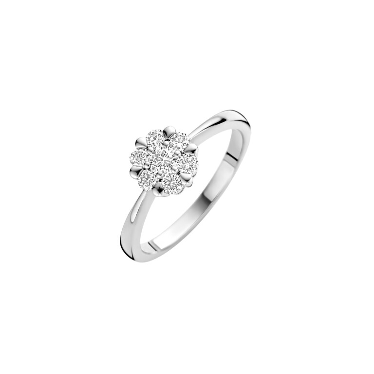 Diamonds Ring - Schaap en Citroen Diamonds Ring - Schaap en Citroen