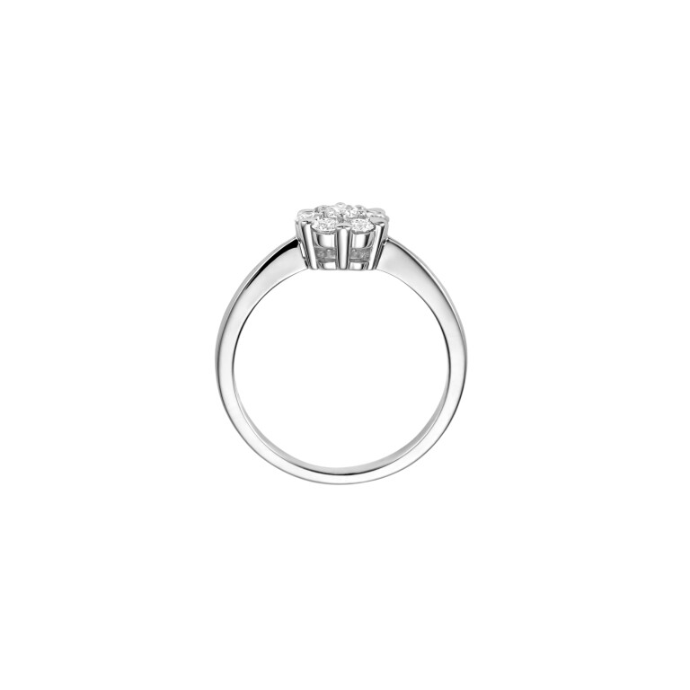 witgoud entourage ring met diamant Schaap en Citroen Diamonds - #3 witgoud entourage ring met diamant Schaap en Citroen Diamonds - #3