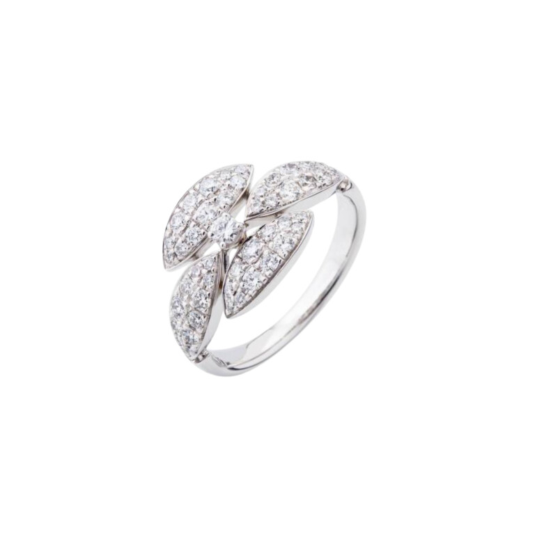 Diamonds Ring - Schaap en Citroen Diamonds Ring - Schaap en Citroen