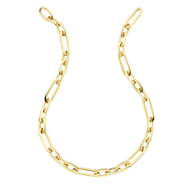 geelgoud schakel collier Schaap en Citroen Essentials - #2 geelgoud schakel collier Schaap en Citroen Essentials - #2