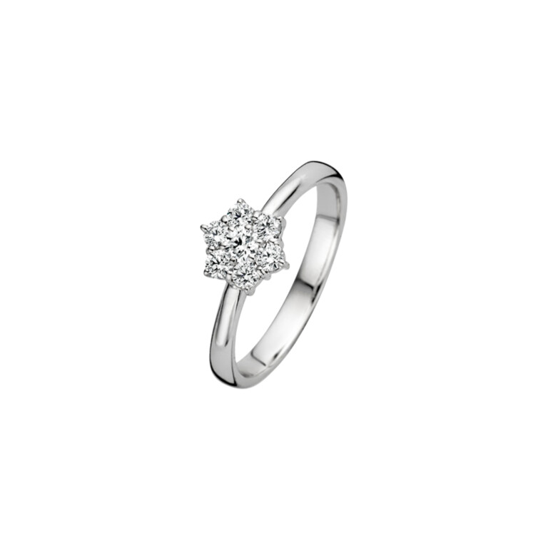 Diamonds Ring - Schaap en Citroen Diamonds Ring - Schaap en Citroen