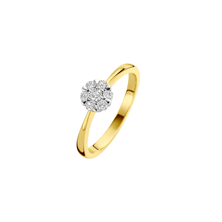 Diamonds Ring - Schaap en Citroen Diamonds Ring - Schaap en Citroen