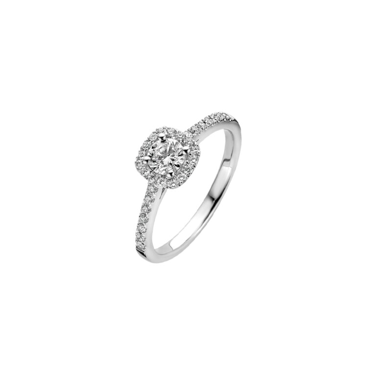 witgoud entourage ring met diamant Schaap en Citroen Diamonds - #2 witgoud entourage ring met diamant Schaap en Citroen Diamonds - #2