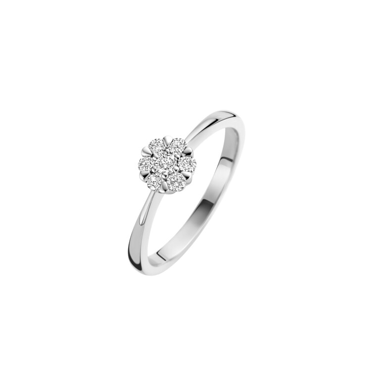 Diamonds Ring - Schaap en Citroen Diamonds Ring - Schaap en Citroen