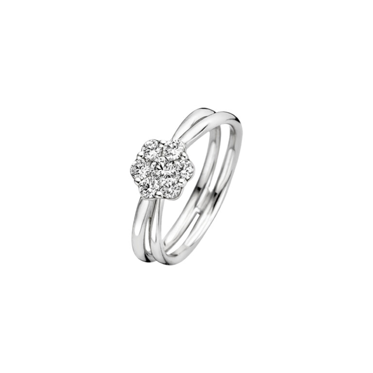 Diamonds Ring - Schaap en Citroen Diamonds Ring - Schaap en Citroen