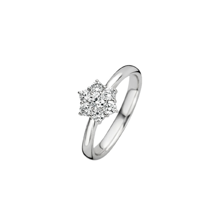 Diamonds Ring - Schaap en Citroen Diamonds Ring - Schaap en Citroen