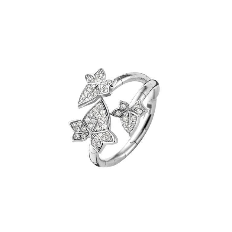 Diamonds Ring - Schaap en Citroen Diamonds Ring - Schaap en Citroen