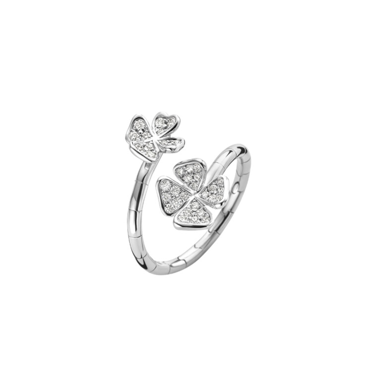 Diamonds Ring - Schaap en Citroen Diamonds Ring - Schaap en Citroen