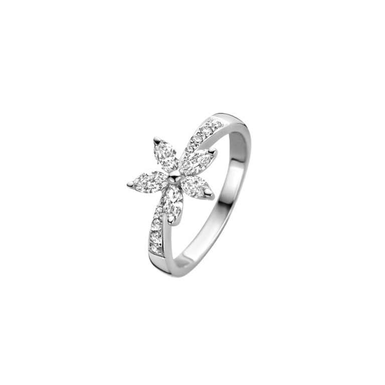 Diamonds Ring - Schaap en Citroen Diamonds Ring - Schaap en Citroen