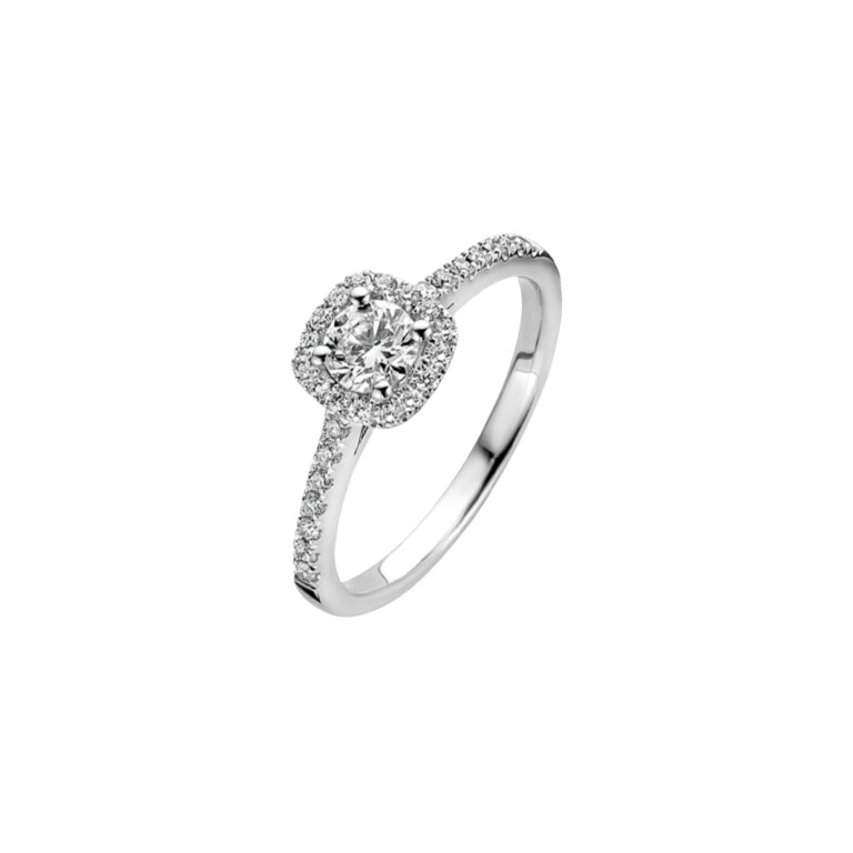 Diamonds Ring - Schaap en Citroen Diamonds Ring - Schaap en Citroen