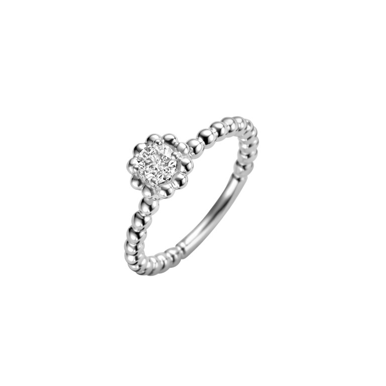 Diamonds Ring - Schaap en Citroen Diamonds Ring - Schaap en Citroen