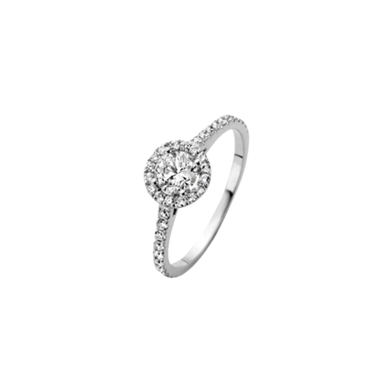 Diamonds Ring - Schaap en Citroen Diamonds Ring - Schaap en Citroen