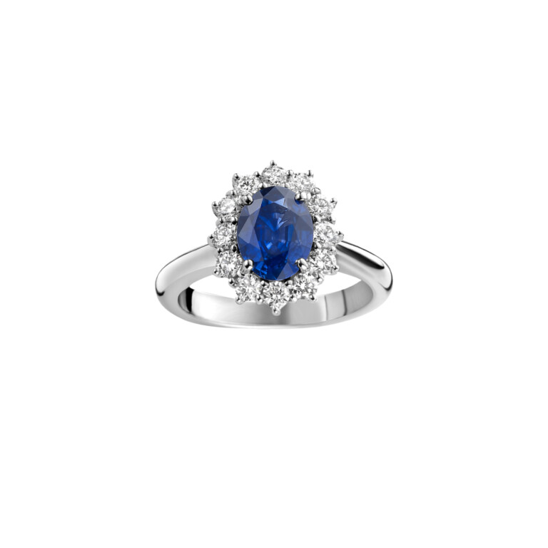 witgoud entourage ring met diamant SC Highlights Colours - #2 witgoud entourage ring met diamant SC Highlights Colours - #2