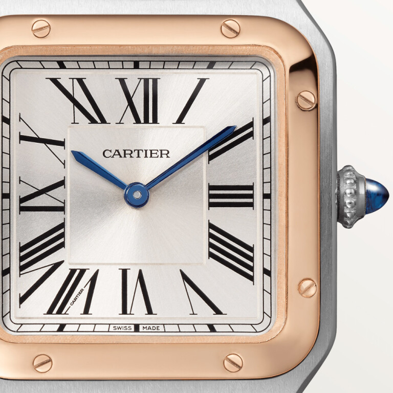 Cartier Santos de Cartier Santos-Dumont SM - W2SA0038 - #2 Cartier Santos de Cartier Santos-Dumont SM - W2SA0038 - #2