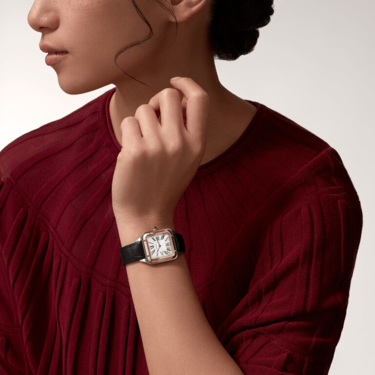 Cartier Santos de Cartier Santos-Dumont SM - W2SA0038 - #5 Cartier Santos de Cartier Santos-Dumont SM - W2SA0038 - #5