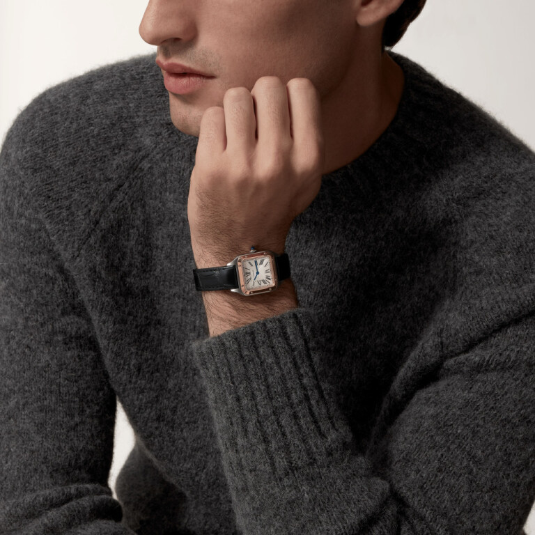 Cartier Santos de Cartier Santos-Dumont SM - W2SA0038 - #6 Cartier Santos de Cartier Santos-Dumont SM - W2SA0038 - #6