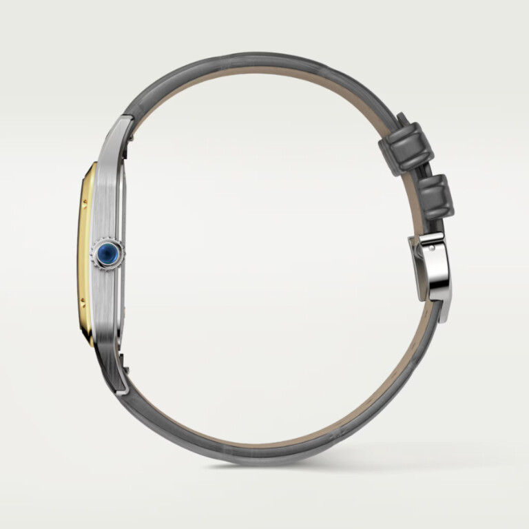 Cartier Santos de Cartier Santos-Dumont LM - W2SA0028 - #5 Cartier Santos de Cartier Santos-Dumont LM - W2SA0028 - #5