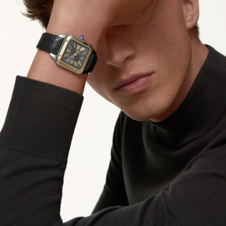 Cartier Santos de Cartier Santos-Dumont LM - W2SA0028 - #8 Cartier Santos de Cartier Santos-Dumont LM - W2SA0028 - #8