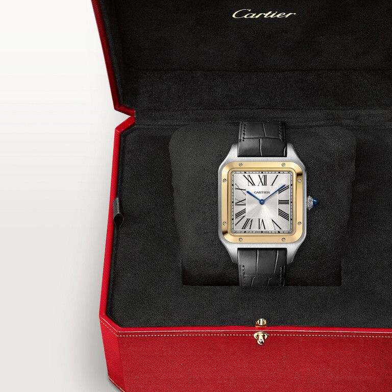 Cartier Santos de Cartier Santos-Dumont XL - W2SA0034 - #6 Cartier Santos de Cartier Santos-Dumont XL - W2SA0034 - #6