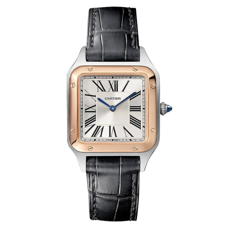 Cartier Santos de Cartier Santos-Dumont SM - W2SA0038 - #8 Cartier Santos de Cartier Santos-Dumont SM - W2SA0038 - #8
