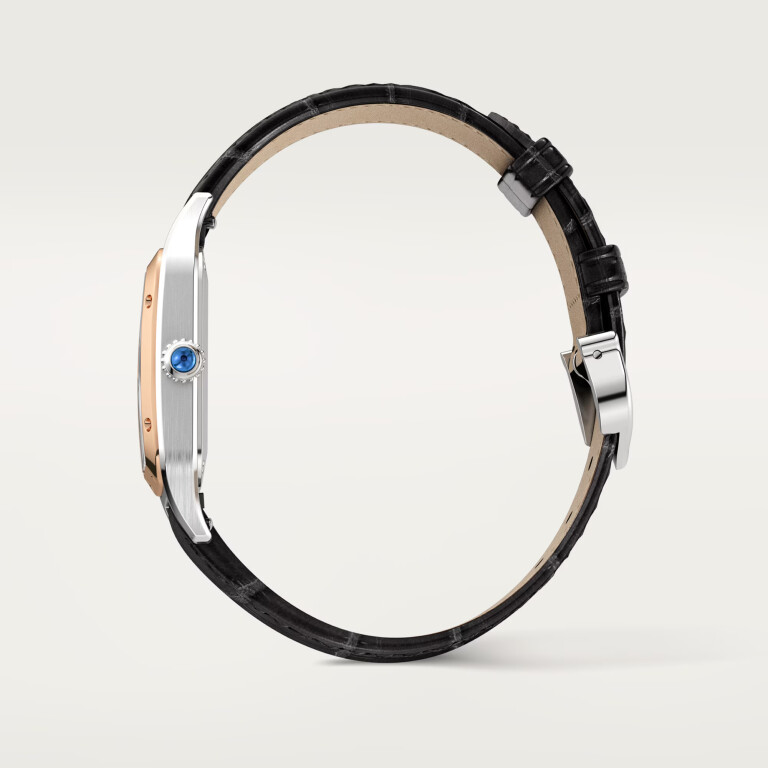 Cartier Santos de Cartier Santos-Dumont SM - W2SA0038 - #9 Cartier Santos de Cartier Santos-Dumont SM - W2SA0038 - #9