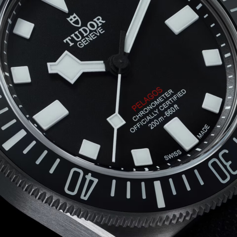 Tudor Pelagos FXD 42mm - 25717N-0001 - #16 Tudor Pelagos FXD 42mm - 25717N-0001 - #16