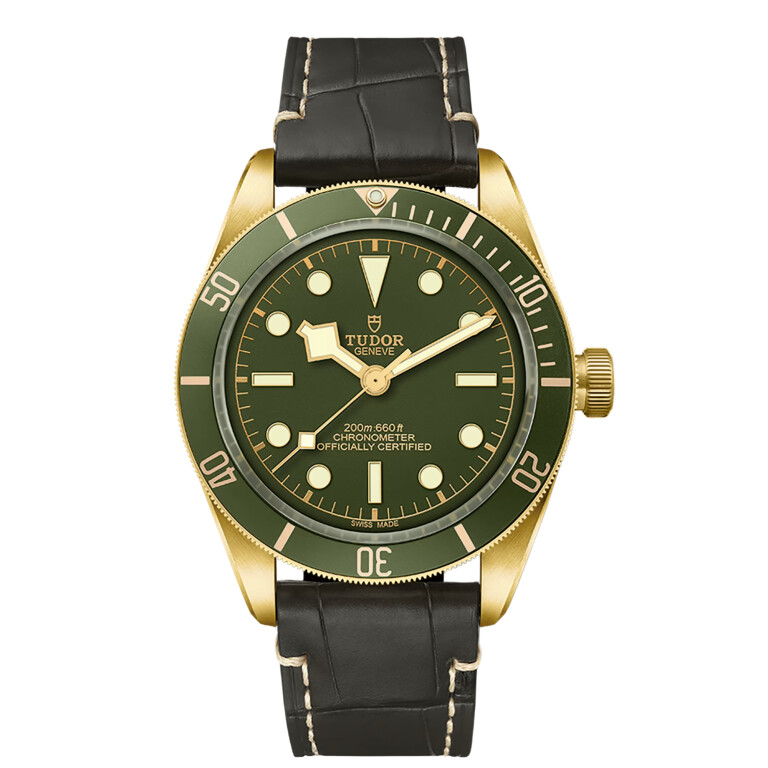 Tudor Black Bay 58 18K 39mm - 79018V-0001 - #1 Tudor Black Bay 58 18K 39mm - 79018V-0001 - #1