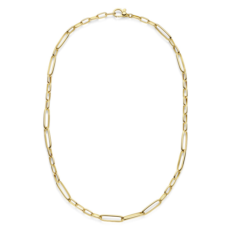 geelgoud schakel collier Schaap en Citroen Essentials - #3 geelgoud schakel collier Schaap en Citroen Essentials - #3