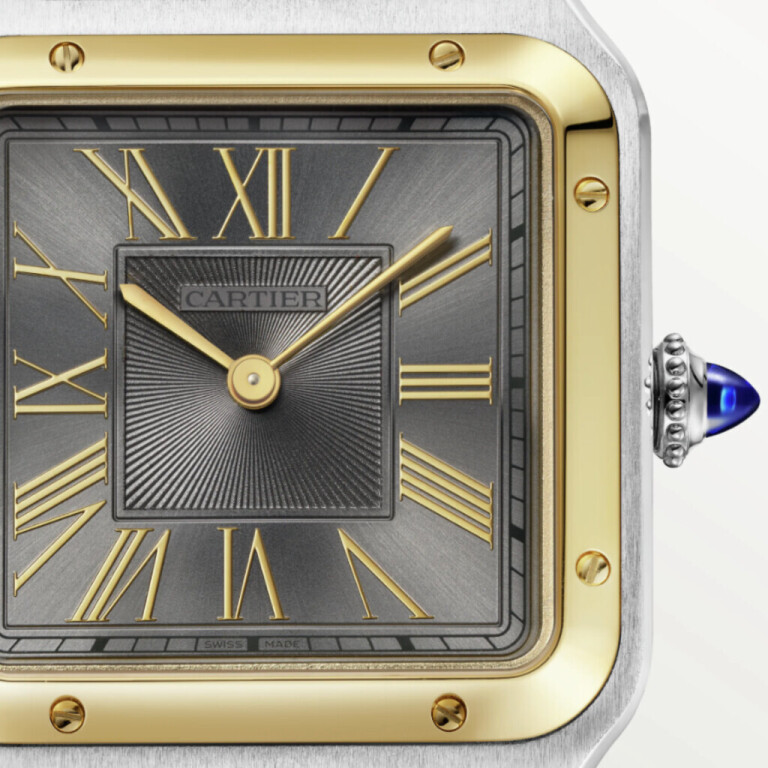 Cartier Santos de Cartier Santos-Dumont LM - W2SA0036 - #7 Cartier Santos de Cartier Santos-Dumont LM - W2SA0036 - #7
