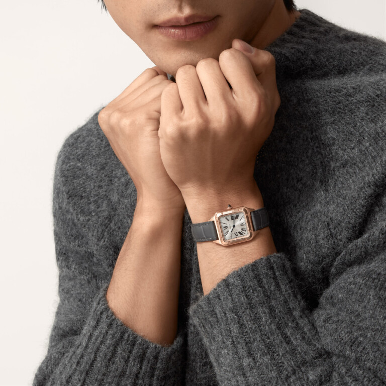 Cartier Santos de Cartier Santos-Dumont SM - WGSA0117 - #2 Cartier Santos de Cartier Santos-Dumont SM - WGSA0117 - #2