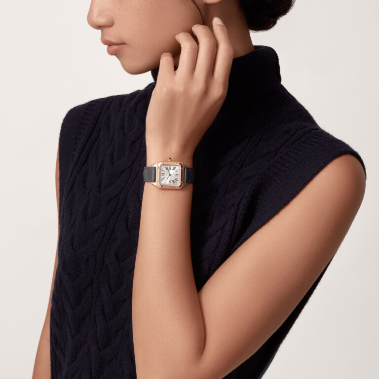 Cartier Santos de Cartier Santos-Dumont SM - WGSA0117 - #3 Cartier Santos de Cartier Santos-Dumont SM - WGSA0117 - #3