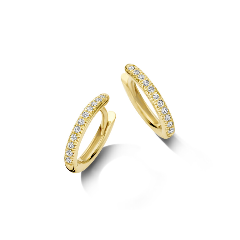 Diamonds oorringen - Schaap en Citroen Diamonds oorringen - Schaap en Citroen