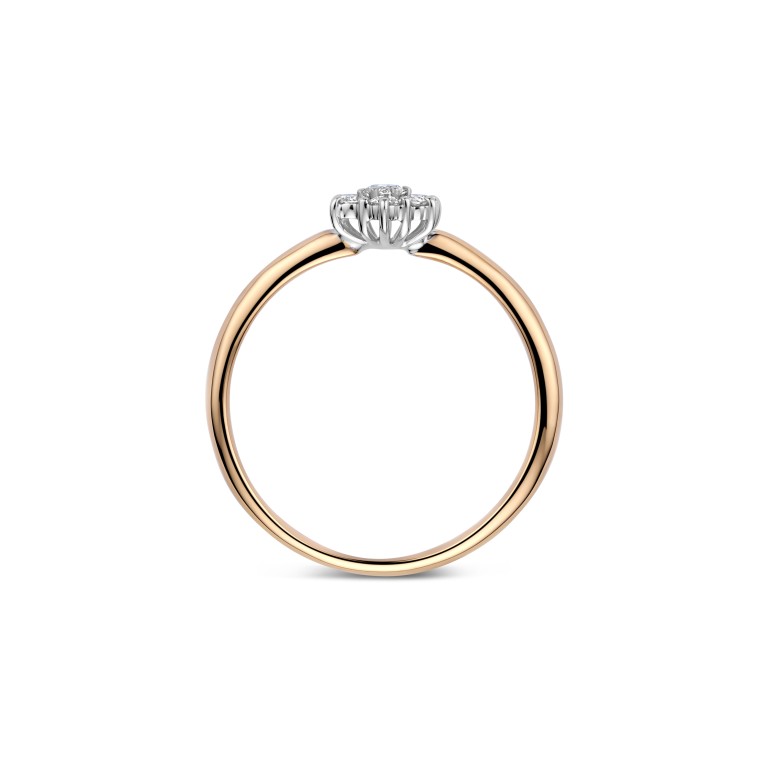 rosé/wit goud entourage ring met diamant Schaap en Citroen Diamonds - #3 rosé/wit goud entourage ring met diamant Schaap en Citroen Diamonds - #3