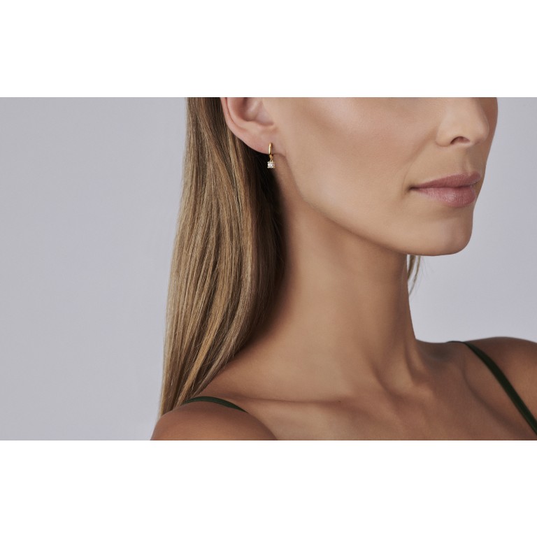 geelgoud oorhangers met diamant Schaap en Citroen Diamonds - #4 geelgoud oorhangers met diamant Schaap en Citroen Diamonds - #4