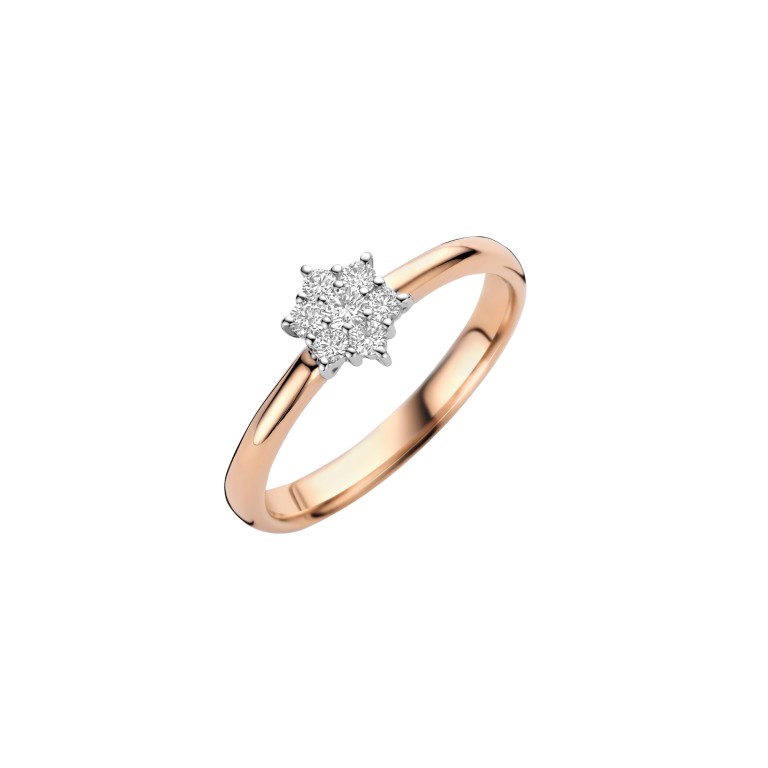 Diamonds Ring - Schaap en Citroen Diamonds Ring - Schaap en Citroen
