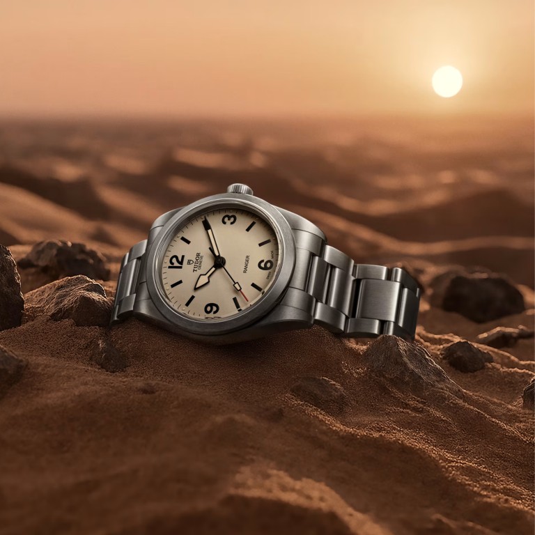 Tudor Ranger 36mm - 79930-0007 - #6 Tudor Ranger 36mm - 79930-0007 - #6