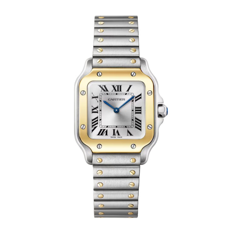 Santos de Cartier SM - Cartier - W2SA0033 Santos de Cartier SM - Cartier - W2SA0033
