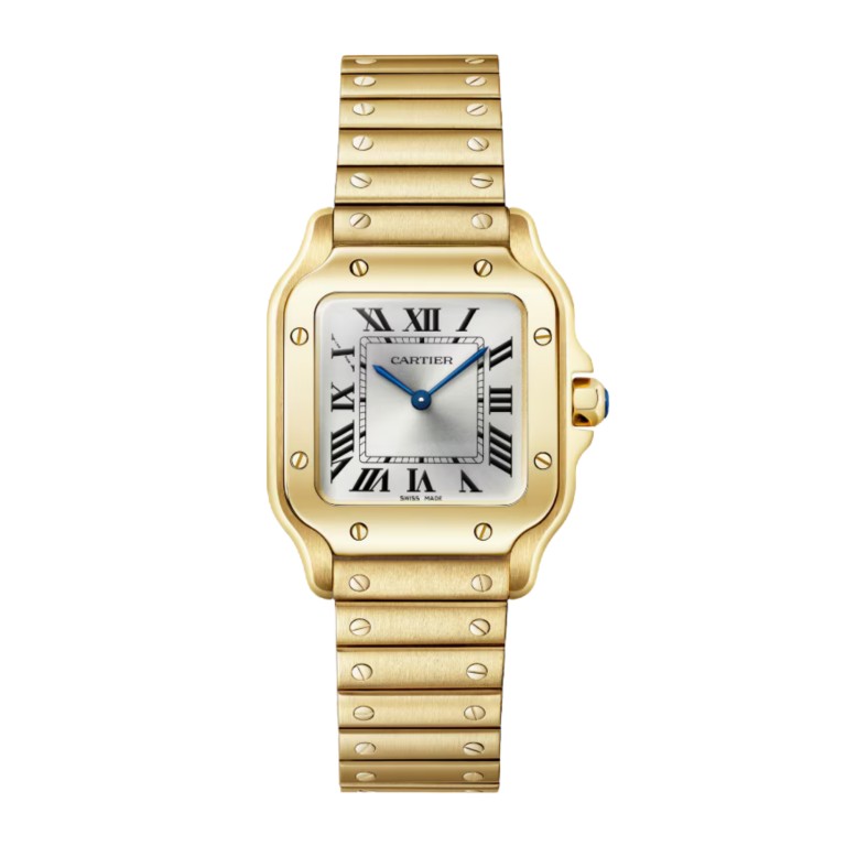 Santos de Cartier SM - Cartier - WGSA0107 Santos de Cartier SM - Cartier - WGSA0107